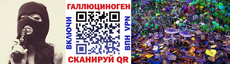 мега ONION  Сосенский  Галлюциногенные грибы Psilocybe 
